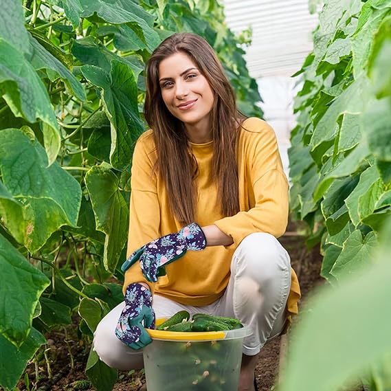 71P08RHse7L._AC_SX569_