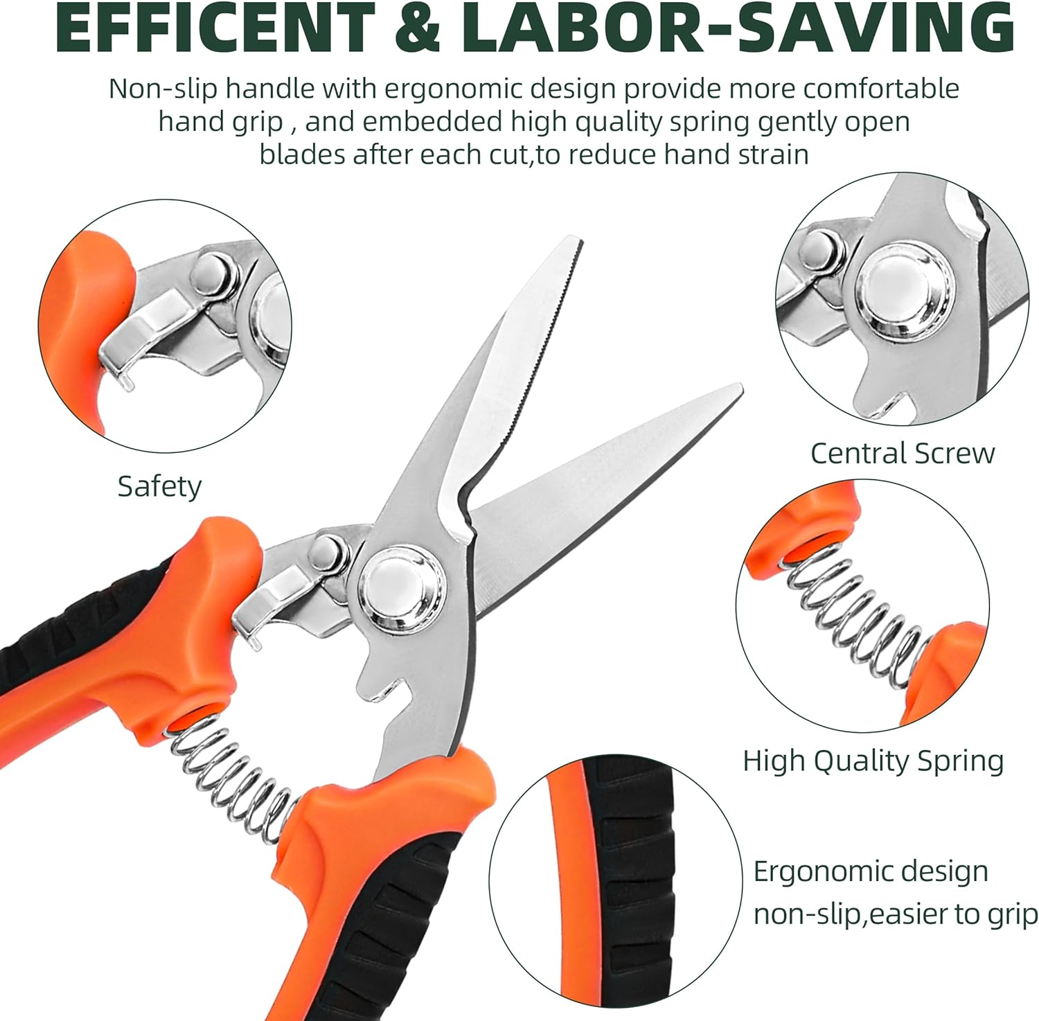 81DfaCF7PkL._AC_SL1500_