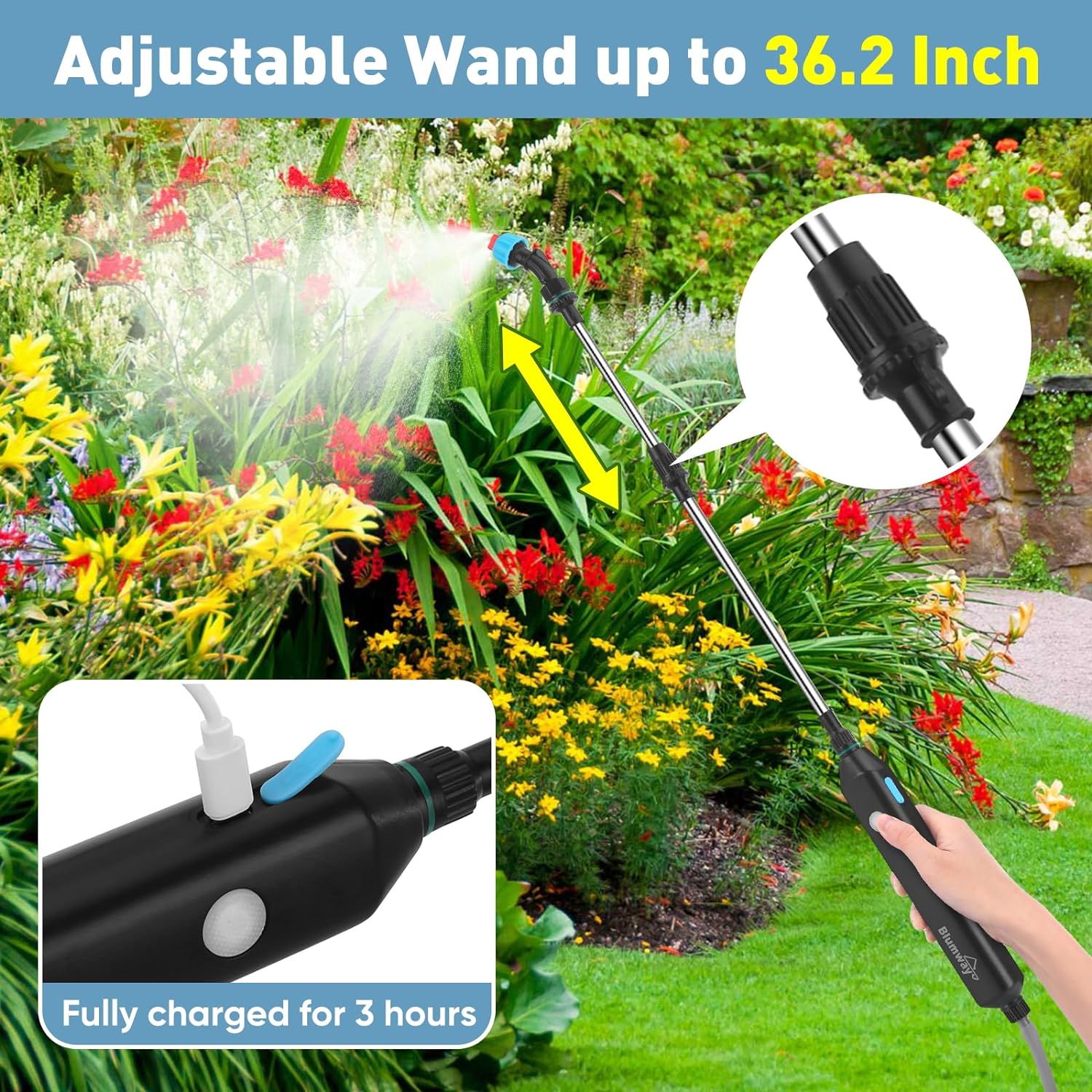 81bybC+eqxL._AC_SL1500_