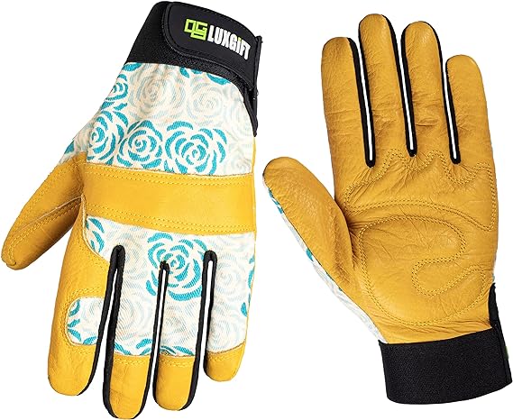 91A8aJFKfpL._AC_SX569_