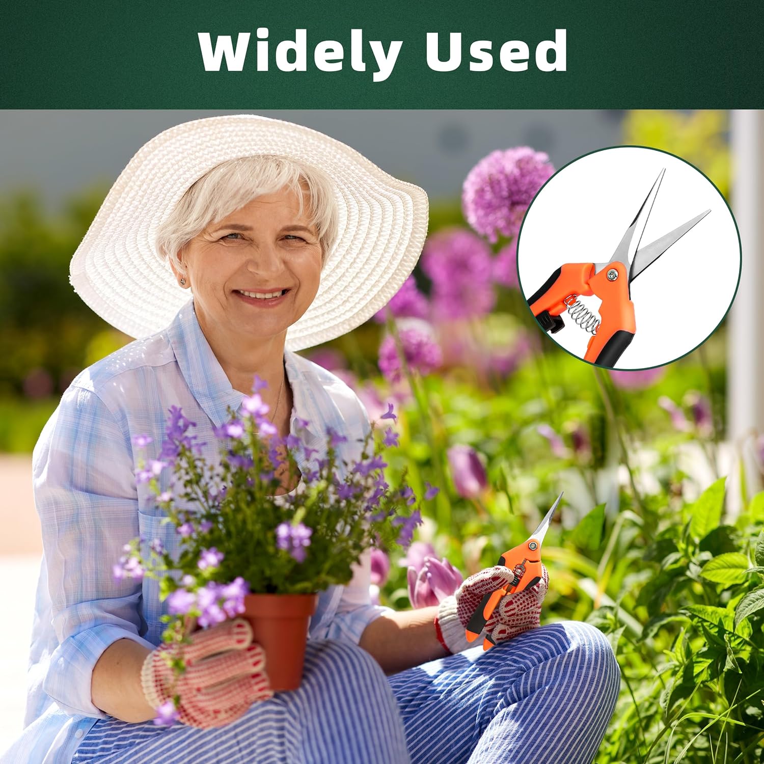 91v2RrV6pBL._AC_SL1500_